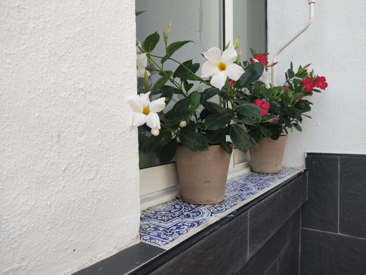 Apartamento 700 Metros De La Playa 플라야 플라멩카 외부 사진